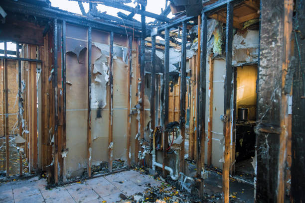 Professional Fire Damage Removal technician working in Odem, TX